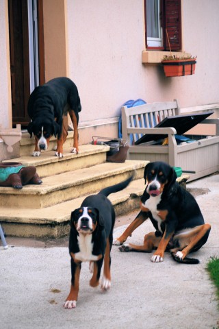 et nous avons la grande joie d'avoir trois générations à la maison ! 