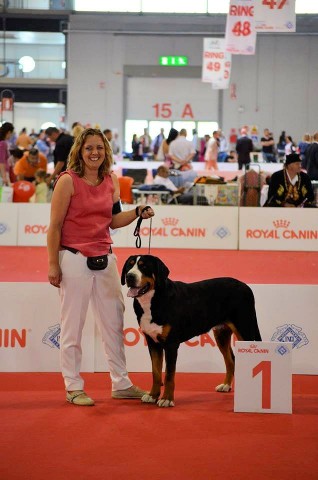 Saln, 1er excellent classe champion au WDS2015