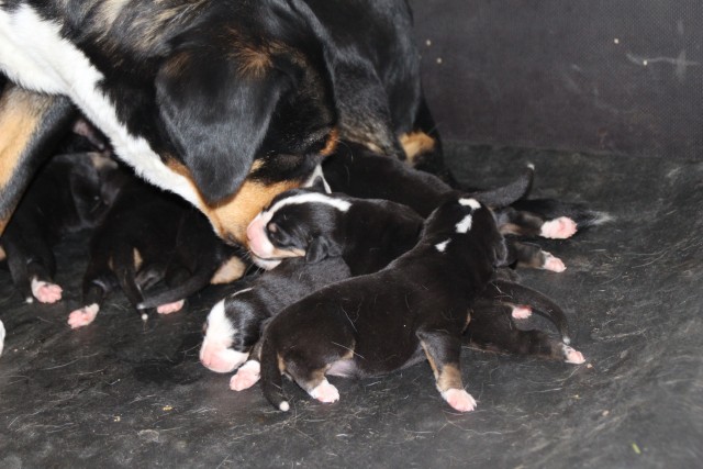 sinon? c'est toilette et câlin de maman... 