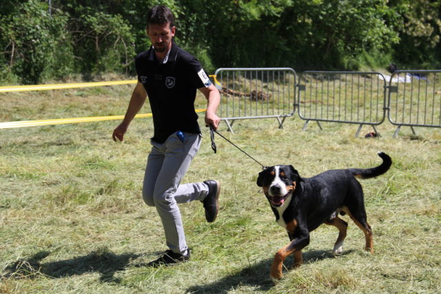 Notre champion Jetlan, tout heureux d'être sur le ring :) 